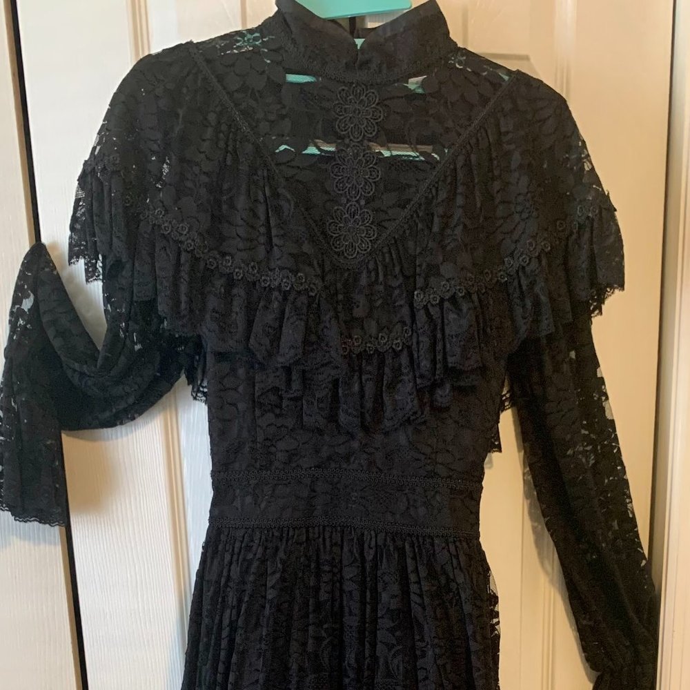 Black Lace Gown and Tulle Poof Skirt